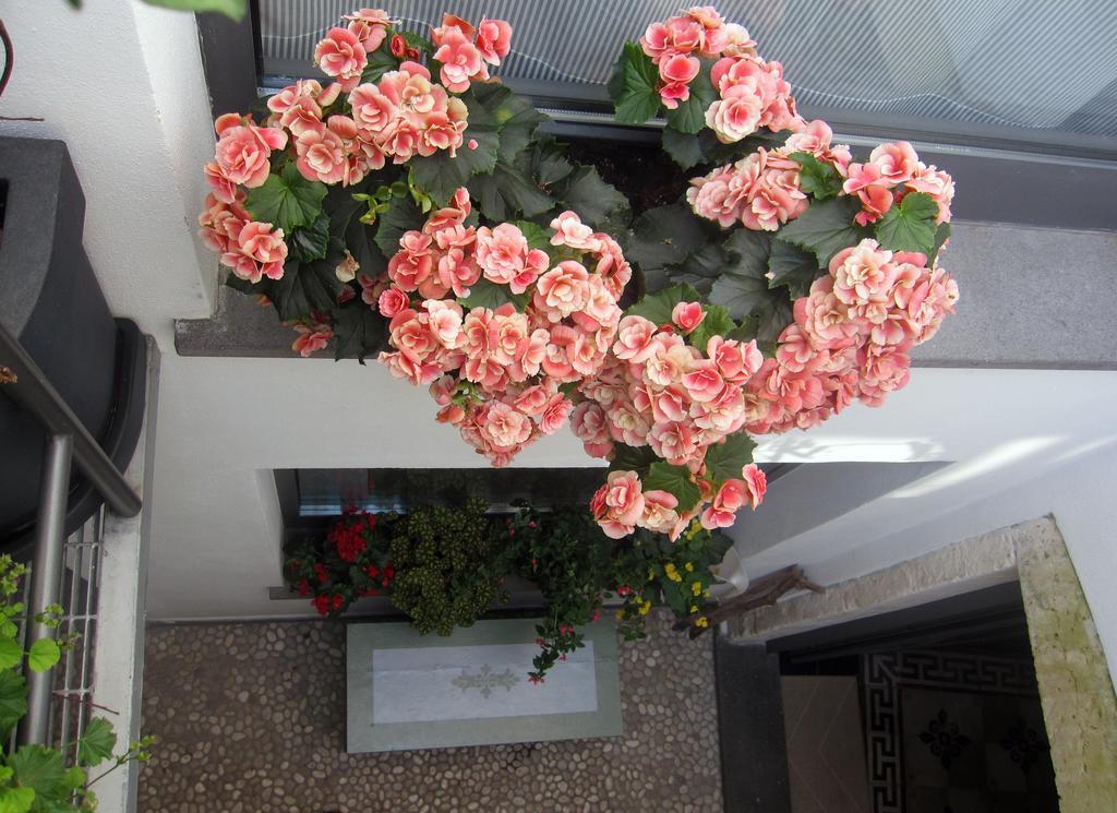 Brancadoria B&B Monteleone Rocca Doria Екстериор снимка